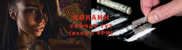 mdpv Новозыбков