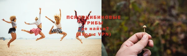 альфа пвп Няндома