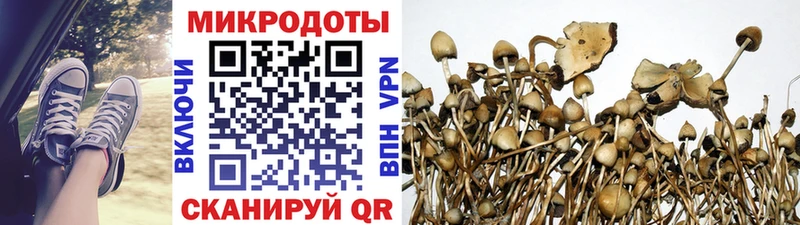 гидра ссылки  Павловский Посад  Галлюциногенные грибы Magic Shrooms 