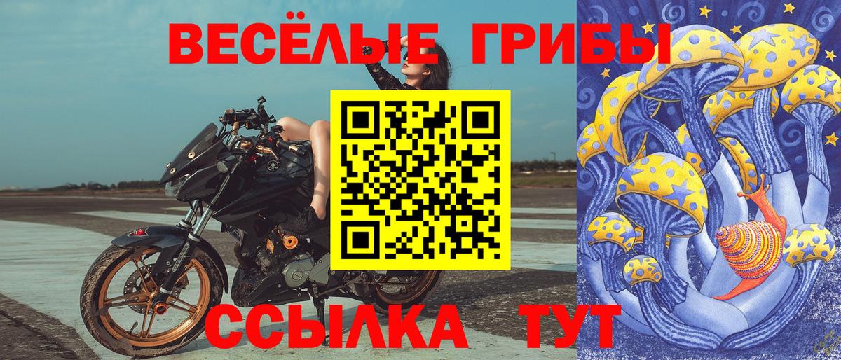 Галлюциногенные грибы Cubensis  Псилоцибиновые грибы ЛСД  Вход с VPN  Павловский Посад 