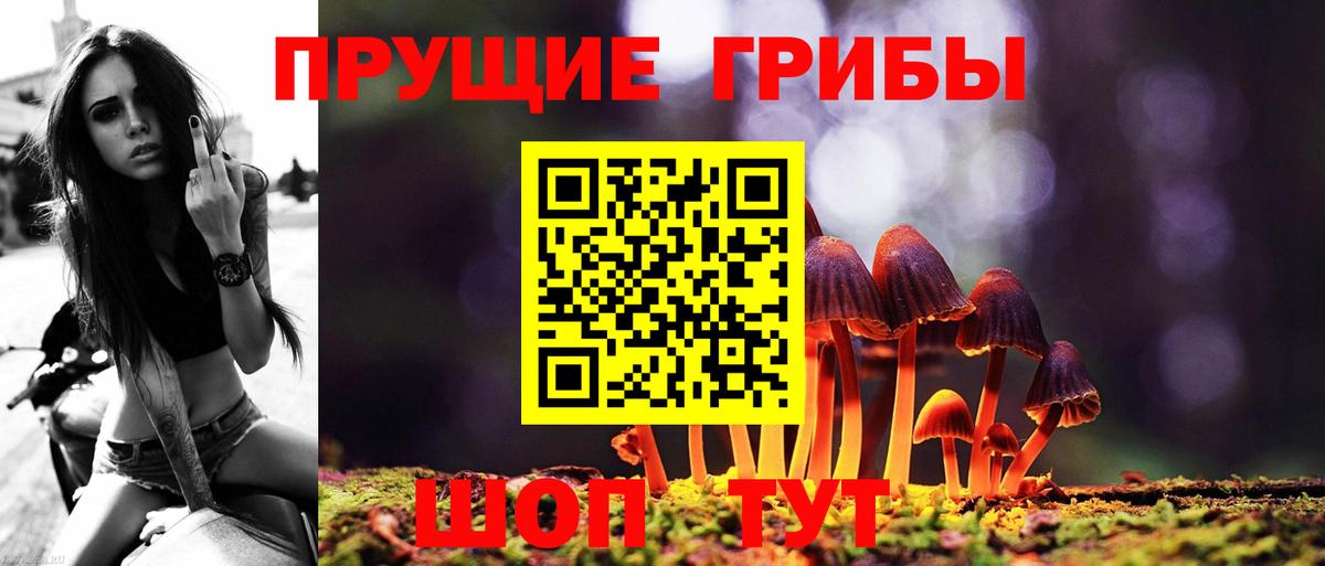 Галлюциногенные грибы Cubensis Павловский Посад
